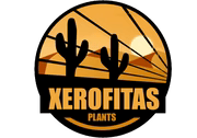 plantasxerofitas.com logo