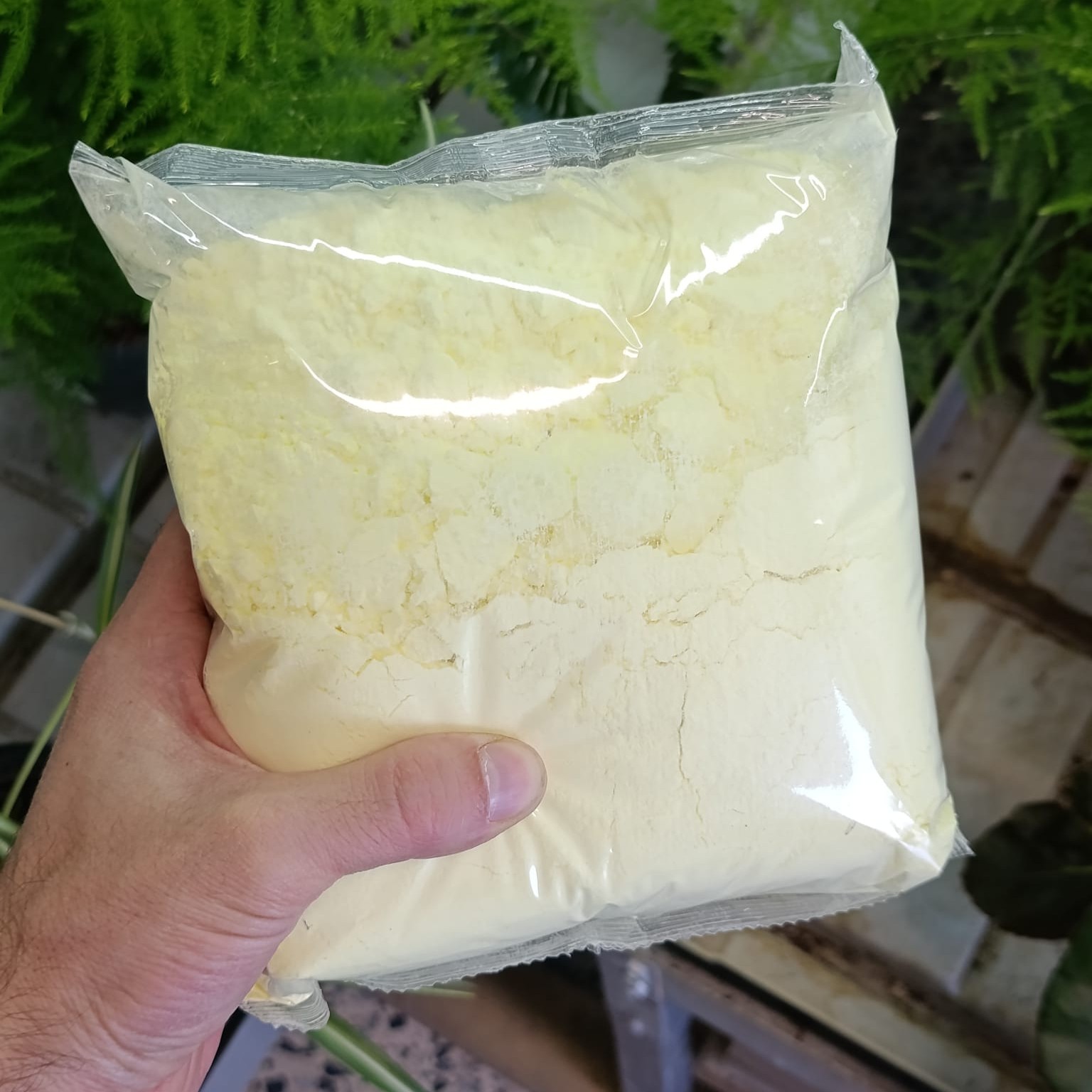 azufre en polvo